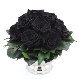 ROSEMARIE SCHULZ Heidelberg Infinity Flower in Silver Cup Eternal Rose Preserved Bouquet Long Lasting (Black, 11 Roses)