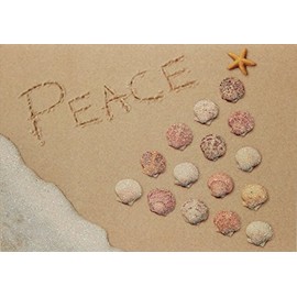 Cape Shore Embellished Christmas Cards - Peace, 7" x 5", Foil