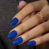 KQueenest Royal Blue Press On Nails Short - Summer Press