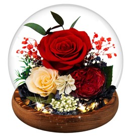 Flowers for Delivery Preserved Rose Gifts for Women, Long-Lasting Real Flowers in Glass Dome Arrangement for Birthday Mother's Day Valentine's Day Home Decor (Red Rose)