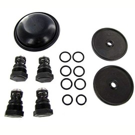 Hypro D252 Diaphragm Pump Repair Kit - Complete