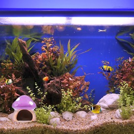 AnRui Cute Mushroom House Betta Fish Tank Accessories Decor Ceramic Aquarium Decoration Hideout Cave Ornament for Small Fish, Shrimp, Goldfish and Reptiles (Purple)