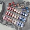 From the Nail Sepia Magnetic Gel Single Item / 프롬더네일