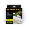 EXO TERRA INCUBATION EGG BOX