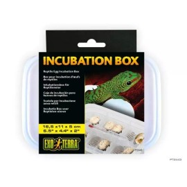 EXO TERRA INCUBATION EGG BOX