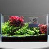 Aquarium Thermometer, Digital Aquarium Thermometer with LCD Display for Gluing