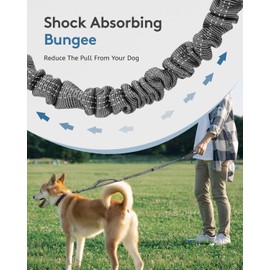 MIDOG Dog Leash with Zipper Pouch,4FT Leash for Dog Walking,Multifunctional Bungee Dog Leash with Car Seat Belt Buckle for Medium and Large Dogs