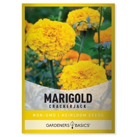 Marigold Seeds for Planting Outdoors (Crackerjack Variety) Annual Open-Pollinated, Heirloom, Non-GMO Flower Variety- 800mg Seeds Great for Summer Cut Flower Gardens by Gardeners Basics