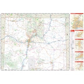 Rand McNally Easy to Read: New Mexico State Map