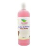 Aceite De Masaje Spa Ana Natalia 1 Lt Plástico