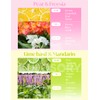 KULOSORY LG Styler Sheets 20 Sheets (Freesia + Lime basil)