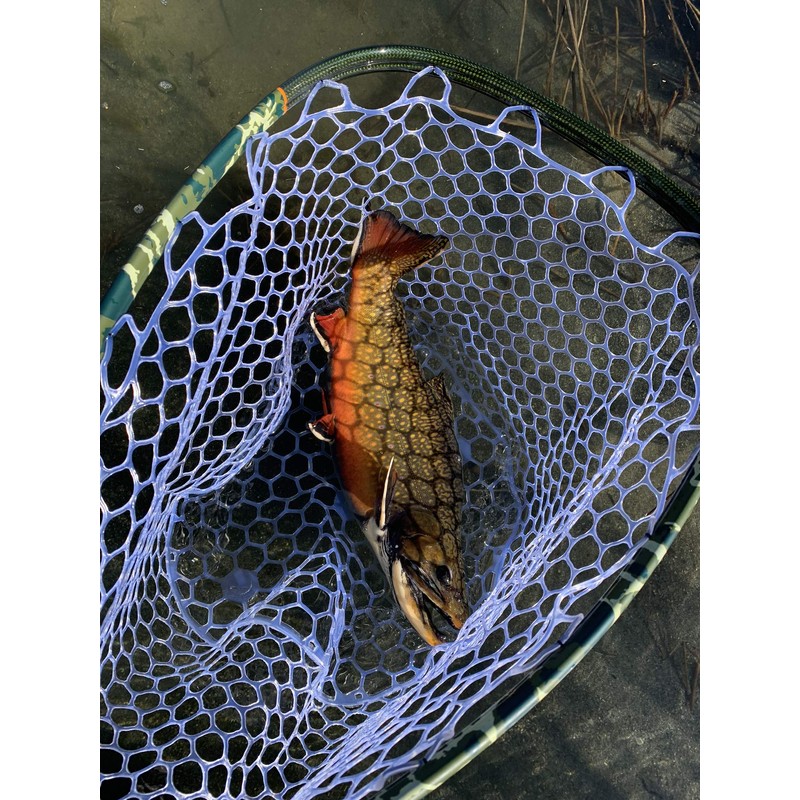 Fly & Bubble Casting Rig