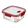 Keter Cook glass container, transparent / red, 33 x 18