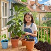 Organic Avocado Tree Potting Soil Mix 4qt, Enhance Growth and