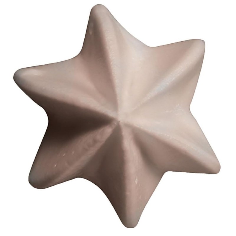 de Buyer- Sterntülle ohne Falz aus Edelstahl E6 -1,3cm -