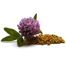 Remmeles Propolis REMMELE`s PROPOLIS L?sung 10 ml