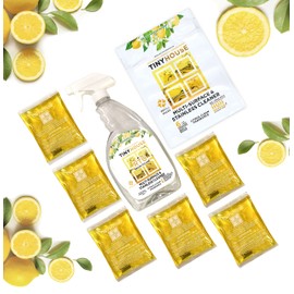 Tiny House Multi-Surface & Stainless Cleaner Kit