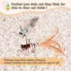 ORSDA Cat Toys, Cat Feather Toy for Indoor Cats, Replacement