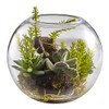 Nearly Natural Mix Succulent Garden with Glass Vase