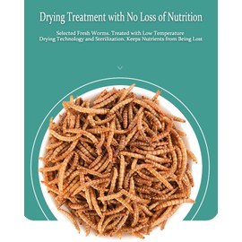 BNYEE Reptile Food Dried Mealworms Pet Worms Food for Bearded Dragon, Lizard, Turtles, Chameleon, Monitor, Frog, Sugar Glider, Chickens, Birds, Hamsters and Hedgehogs (3.5 OZ)