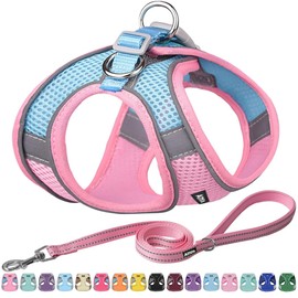 AIITLE Dog Harness, No-Pull Cat Harness with a Leash, Adjustable Reflective Dog Vest, Cat Harness Escape Proof, Outdoor Walking, Running,Training for Extra Small Dogs and House Cats Pink XXXS