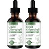 [2-Pack] Liquid Chlorophyll Drops - All-Natural Concentrate – Immune System