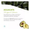 Acondicionador De Aguacate Sheló Nabel Hidratación Suavidad