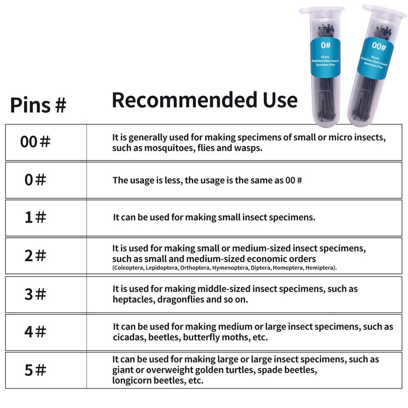 Fpxnb 350 Pcs Stainless Steel Insect Pins in 7 Sizes,