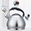 Easyworkz Whistling Stovetop Tea Kettle Food Grade Stainless Steel Hot