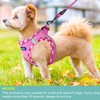 haapaw Dog Harness with Leash Set, No Pull Adjustable Reflective