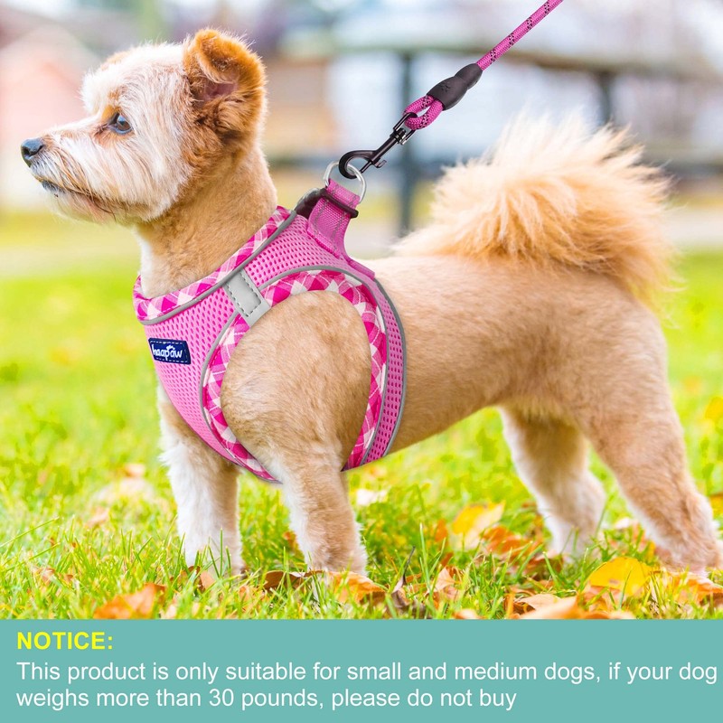 haapaw Dog Harness with Leash Set, No Pull Adjustable Reflective