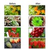 Indoor Garden 50W 64LED Remote Control Full Spectrum Plant Grow