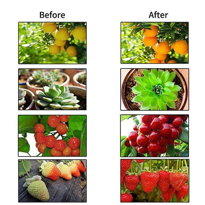 Indoor Garden 50W 64LED Remote Control Full Spectrum Plant Grow