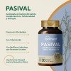 Pasiflora Valeriana Gaba B6 Pasival Biomiral 30 Cáps Pack X2