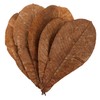 ABOOFAN 20pcs Dried Leaf Sushi Plating Mats Japanese Sashimi Decor