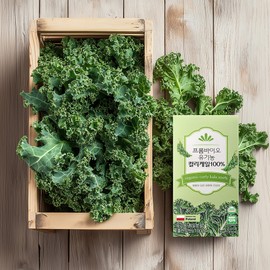 FromBio Organic Freeze-Dried Curly Kale Powder 100% 15 sachets (2g) x 1 box Made in Poland / 프롬바이오 유기농 동결건조 곱슬 컬리 케일 분말 100% 15포(2g)x1박스 폴란드산
