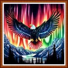 Funart Stamped Cross Stitch Kits for Beginners Full Range of Cross Stitching Preprinted Embroidery Kits for Adults, 11CT Embroidery Pattern Needlepoint Kits-Aurora Eagle Landscape 18x18 inch