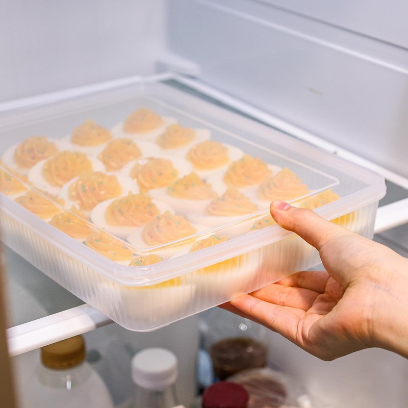 HANSGO Deviled Egg Carrier with Lid,2 Pack Deviled Egg Containers