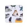 Maxwell & Williams GI0324 Feline Friends Coasters Set of 4