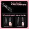 NOVO OVO Sculpted XXL Coffin Nail Tip for Curved Nails,