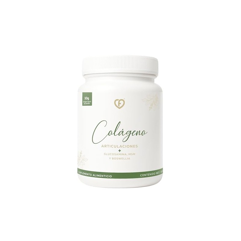 Caro Fit Colágeno Hidrolizado Tipo Articulaciones Cartílago Polvo Glucosamina Msm