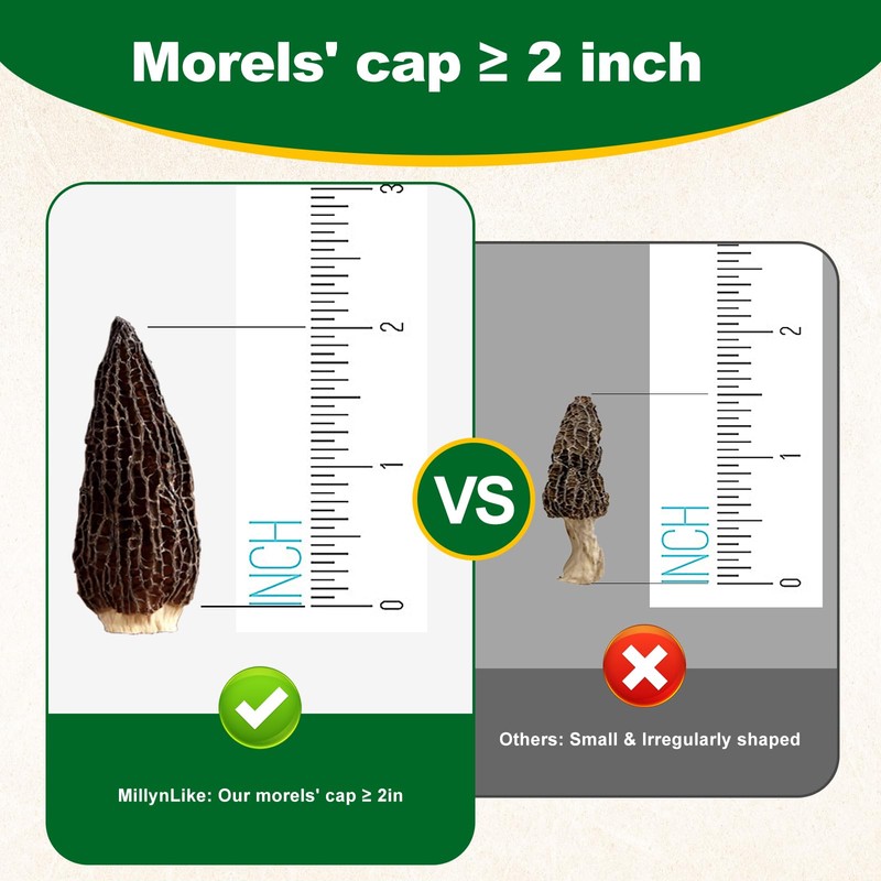 MillynLike Dried Morel Mushrooms Trimmed Stems & Large Caps (2+