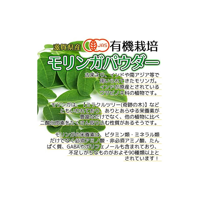 ヘルシーカンパニー オーガニック 国産 モリンガパウダー100ｇ モリンガ粉末 モリンガ青汁 こだわり製法 有機