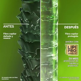 OGX® Shampoo Refreshing Scalp + Rosemary Mint, limpieza profunda, 385ml