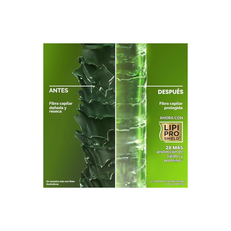 OGX® Shampoo Refreshing Scalp + Rosemary Mint, limpieza profunda, 385ml