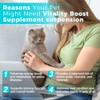 Welsdom Pets Vitality Boost Supplement Suspension - 60mL | Enhances