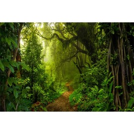 Jungle Forest Fairytale Backdrop 10x8FT Tropical Rainforest Natural Scenery Photography Backdrop Outdoor Camping Background Baby Shower Birthday Backdrop Adult Kids Artistic Portrait Photo Backdrop