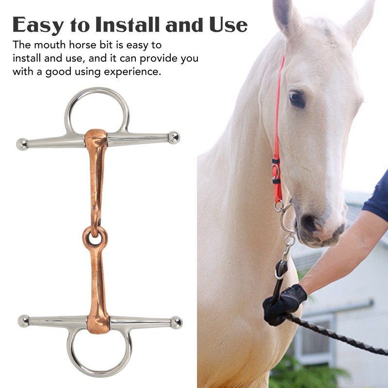 Horse Full Cheek Snaffle Stainless Steel Ring Snaffle Bit for