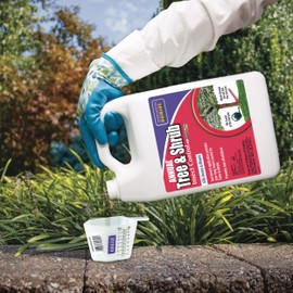 Bonide Annual Tree & Shrub Insect Control with Systemaxx, 128 oz Concentrate, Year Long Protection and Insect Killer