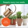 Miracle-Gro Succulent Plant Food, 8 oz., For Succulents including Cacti,